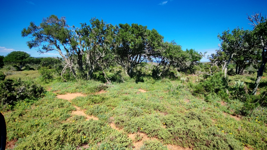 0 Bedroom Property for Sale in Somerset East Rural Eastern Cape